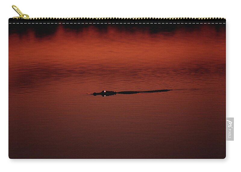 Mp Zip Pouch featuring the photograph American Alligator Alligator by Konrad Wothe