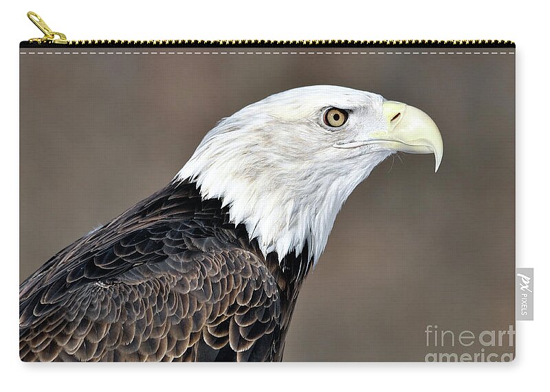 Bald Eagle Zip Pouch featuring the photograph American Bald Eagle by Ronald Grogan