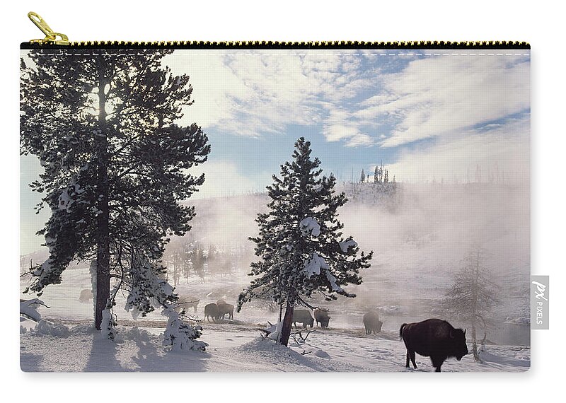 00174314 Zip Pouch featuring the photograph American Bison In Winter Yellowstone by Tim Fitzharris