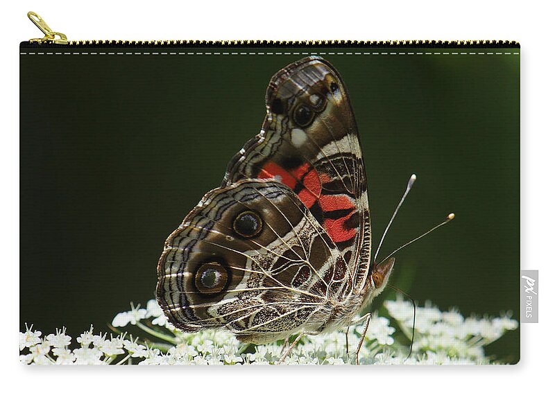 Vanessa Virginiensis Carry-all Pouch featuring the photograph American Painted Lady Butterfly by Daniel Reed