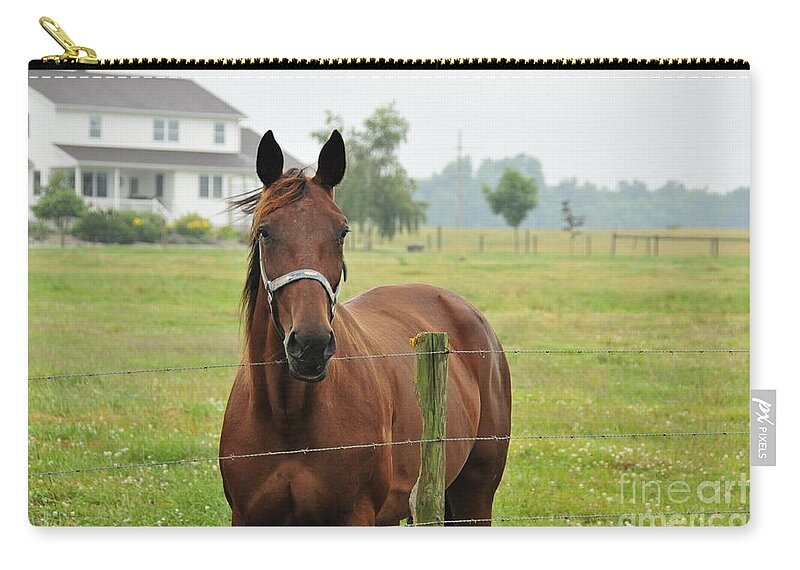 Horse Zip Pouch featuring the photograph Amish Horse by David Arment