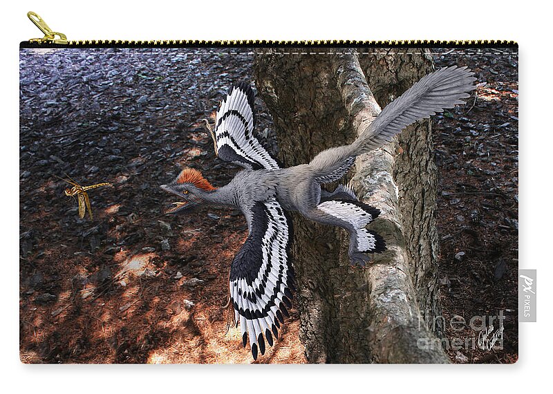 Paleoart Zip Pouch featuring the digital art Anchiornis huxleyi by Julius Csotonyi