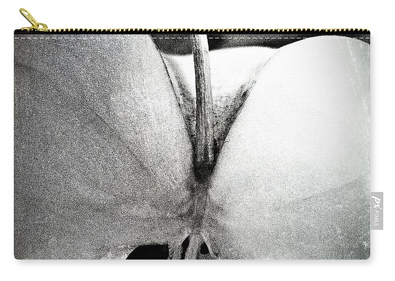 Apple 3 Zip Pouch featuring the photograph Apple 3 by Skip Hunt