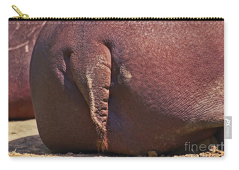 Rhinoceros Zip Pouch featuring the photograph Arriere-Train by Aimelle Ml