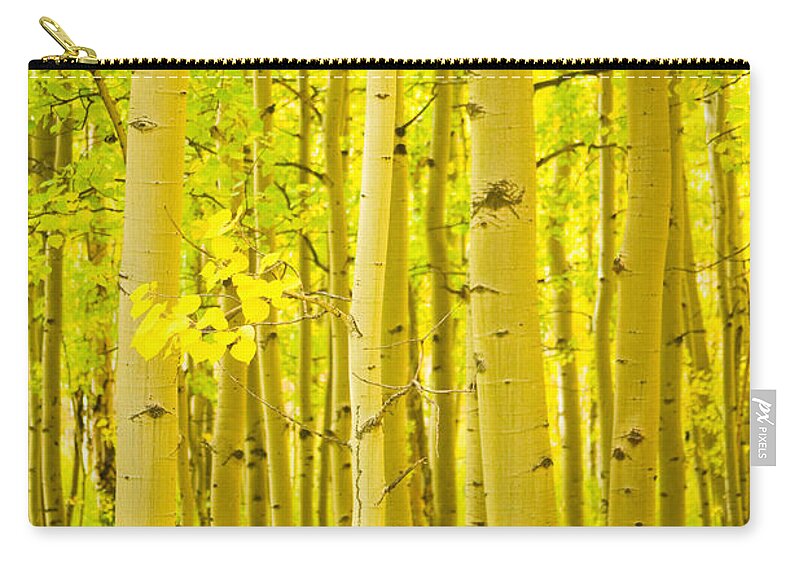 Autumn Zip Pouch featuring the photograph Autumn Aspens Vertical Image by James BO Insogna