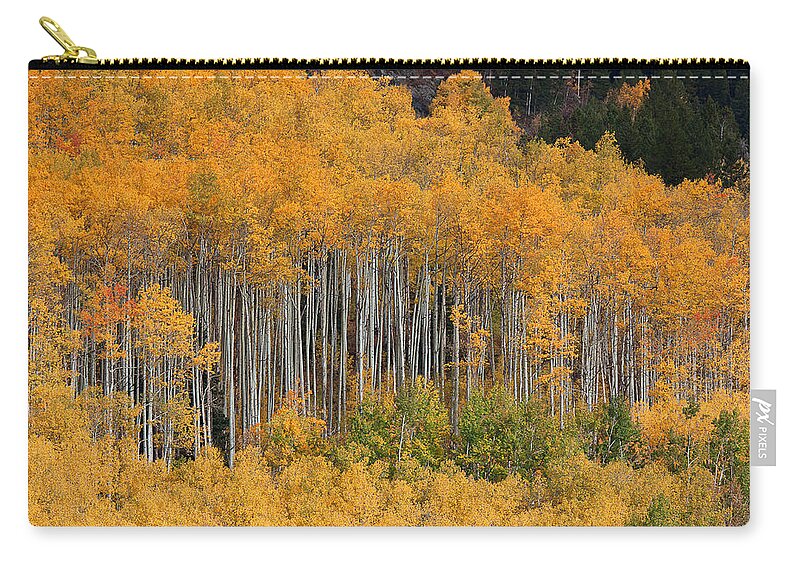 Autumn Colors Photograph Zip Pouch featuring the photograph Autumn Curtain by Jim Garrison