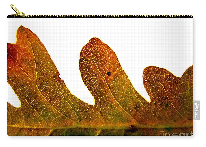 Artoffoxvox Zip Pouch featuring the photograph Autumn Leaf Macro Photograph by Kristen Fox