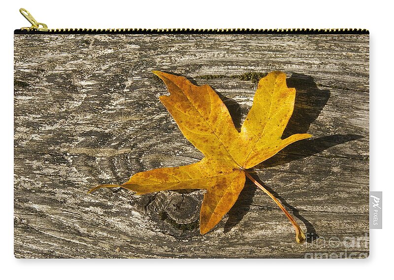 Photography Zip Pouch featuring the photograph Autumn Leaf by Sean Griffin