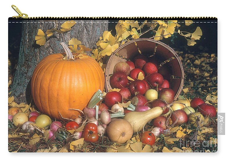 Autumn Zip Pouch featuring the photograph Autumn Still Life by Photo Researchers, Inc.