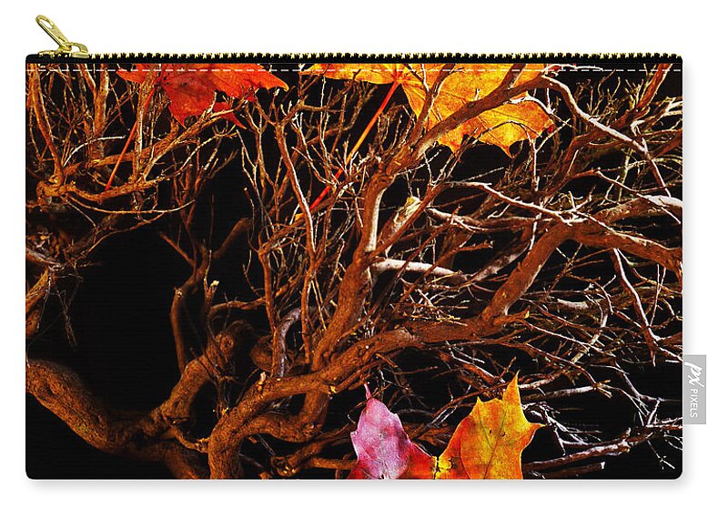 Autumn Zip Pouch featuring the photograph Autumnal Feelings by B Cash