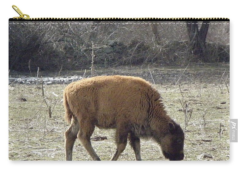 Buffalo Zip Pouch featuring the photograph Baby Buffalo by Kim Galluzzo