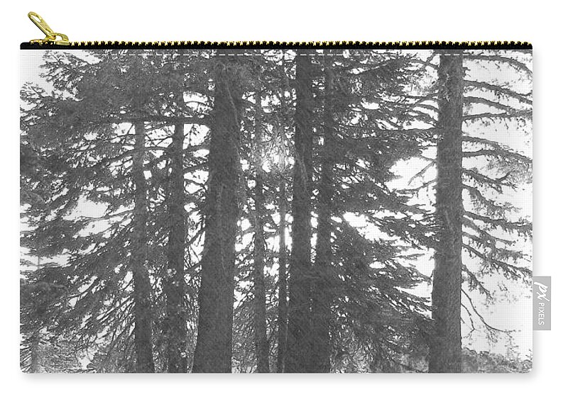 Pencil Zip Pouch featuring the photograph Backlit Trees by Frank Wilson