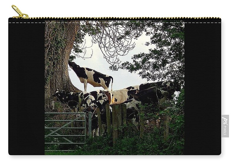 Funny Zip Pouch featuring the photograph Balancing Act by Silva Halo