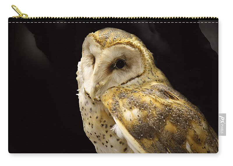 Roena King Zip Pouch featuring the photograph Barn Owl In A Dark Tree by Roena King
