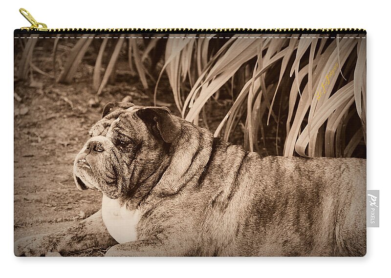 Bulldog Zip Pouch featuring the photograph Baydie by Jeanette C Landstrom