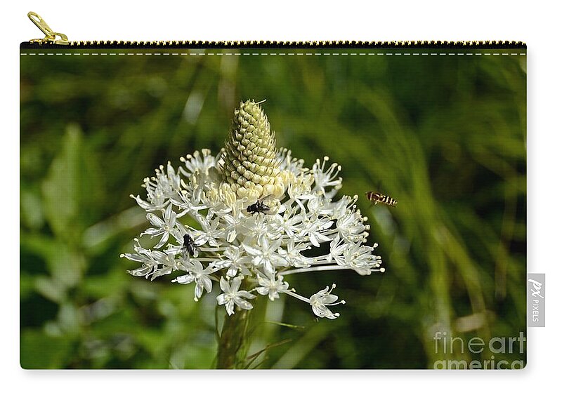 Beargrass Zip Pouch featuring the photograph Beargrass by Cassie Marie Photography