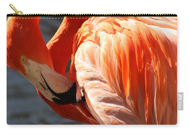 Flamingo Zip Pouch featuring the photograph Beautiful Bird by Kim Galluzzo Wozniak