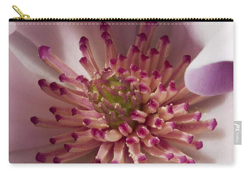 Magnolia Zip Pouch featuring the photograph Beauty Within by Carrie Cranwill
