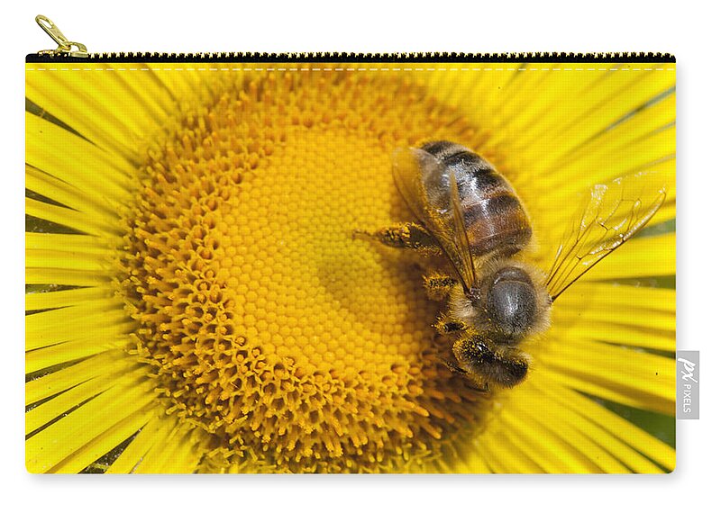 Mp Carry-all Pouch featuring the photograph Bee Apidae On Alpine Sunflower by Matthias Breiter