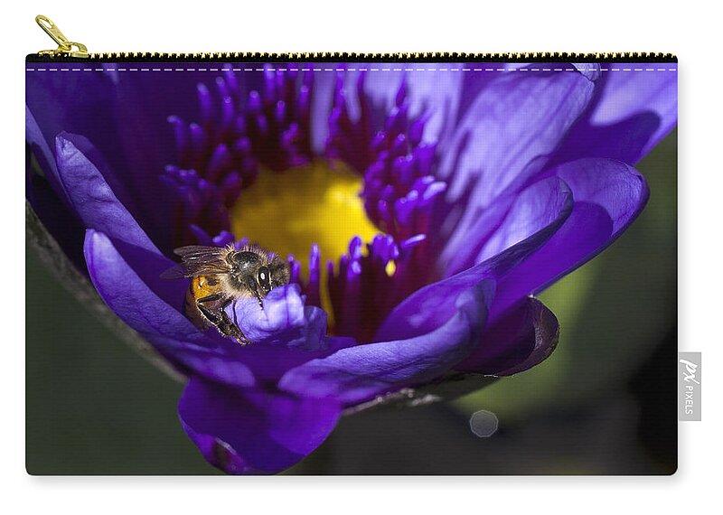 Aquatic Zip Pouch featuring the photograph Bee Hug by Priya Ghose