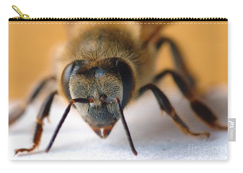 Bee Zip Pouch featuring the photograph Bee in Macro 4 by Micah May