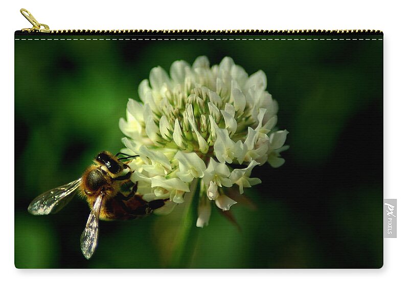 Bee Zip Pouch featuring the photograph BeeFlower2 by David Weeks