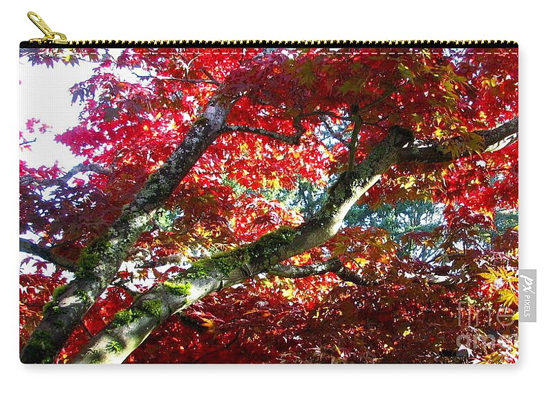 Japanese Red Maple Tree Zip Pouch featuring the photograph Beneath Your Glory by Rory Siegel