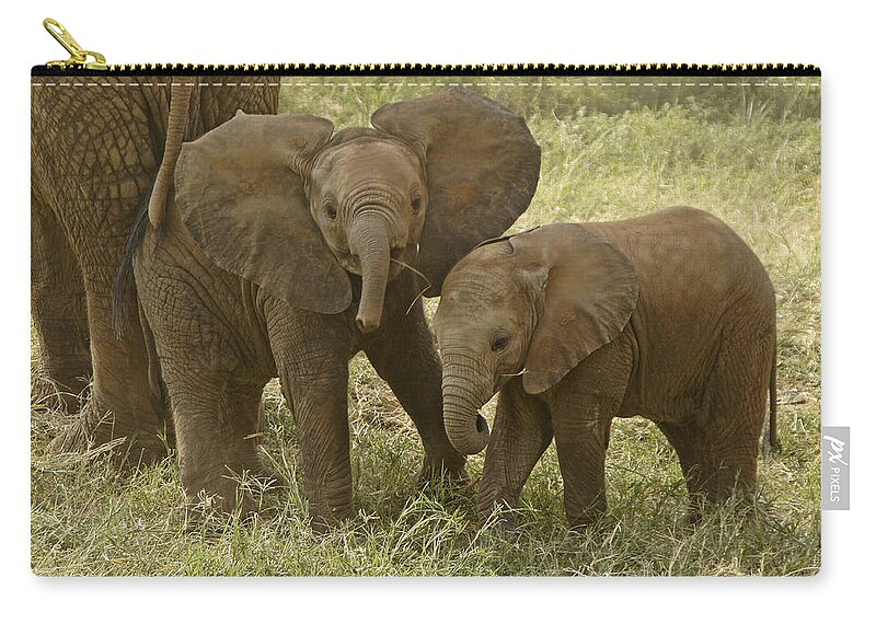 Africa Zip Pouch featuring the photograph Best Buddies by Michele Burgess