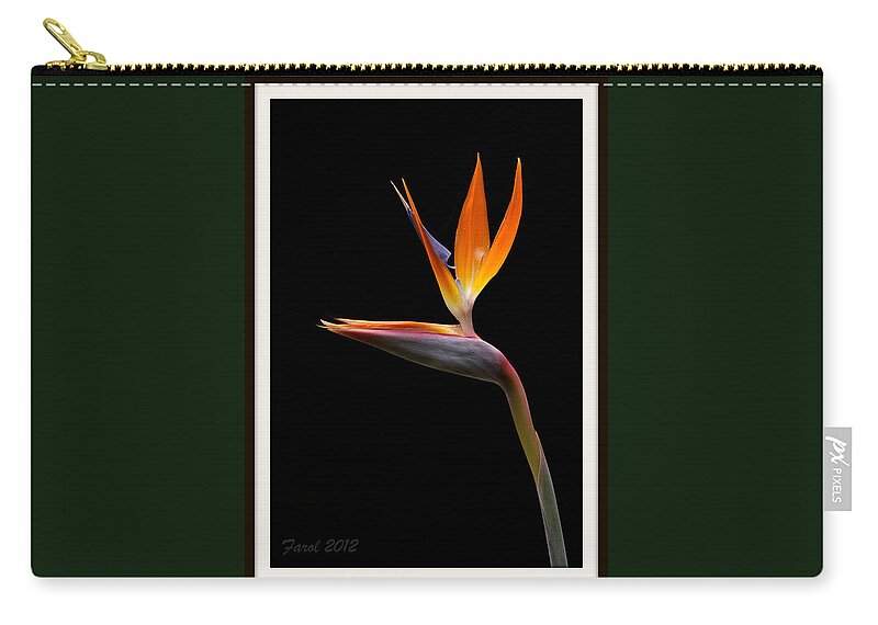 Flower Zip Pouch featuring the photograph Bird of Paradise by Farol Tomson
