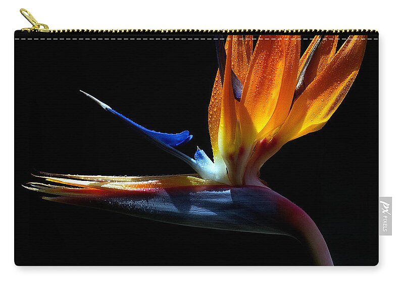 Bird Zip Pouch featuring the photograph Bird of Paradise Two Days Later by Farol Tomson