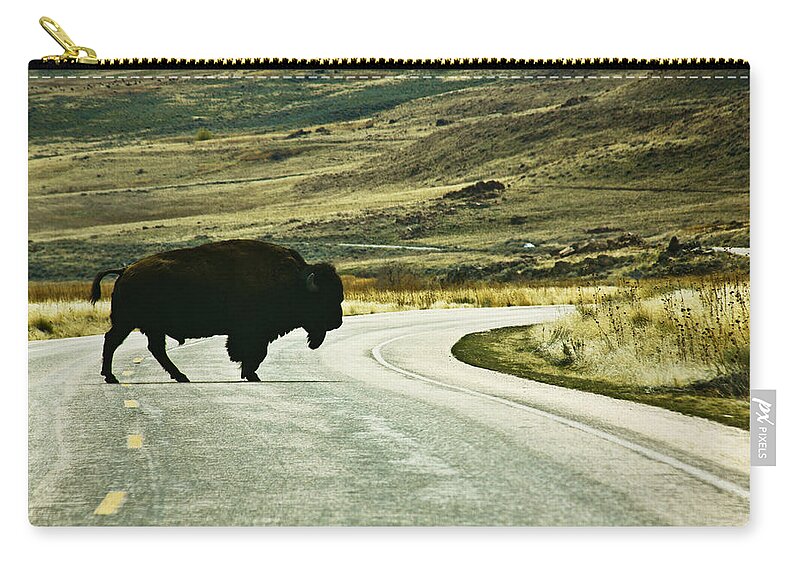 Utah Zip Pouch featuring the photograph Bison crossing Highway by Marilyn Hunt