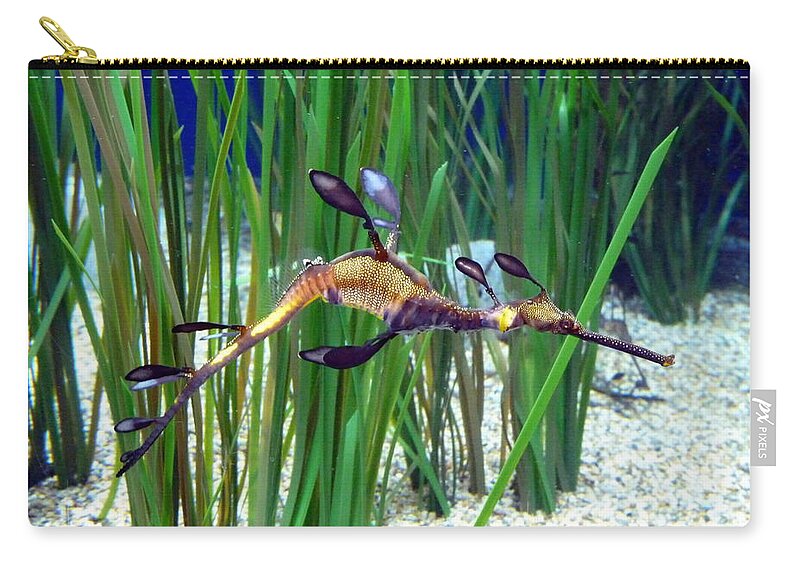 Seahorse Zip Pouch featuring the photograph Black Dragon Seahorse by Carla Parris