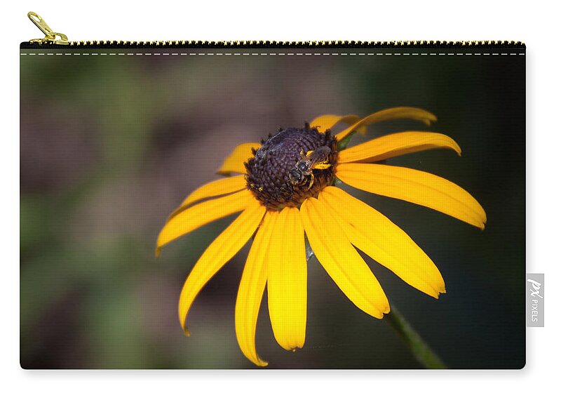 Flora Zip Pouch featuring the photograph Black Eyed Susan with Young Bee by Lynne Jenkins