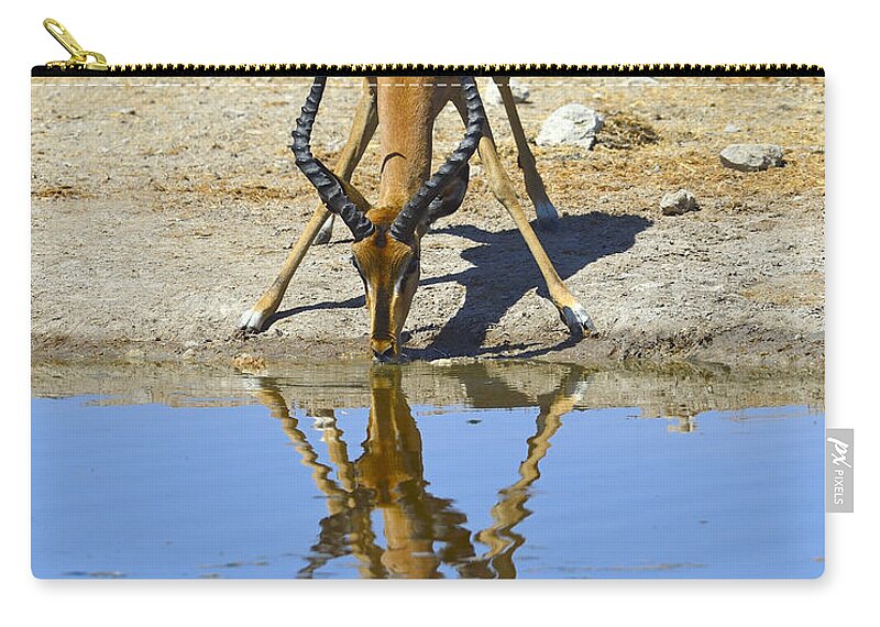 Impala Zip Pouch featuring the photograph Black-faced Impala by Tony Beck