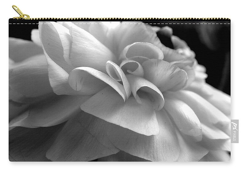 Ranunculus Carry-all Pouch featuring the photograph Black N White Beauty by Kim Galluzzo Wozniak