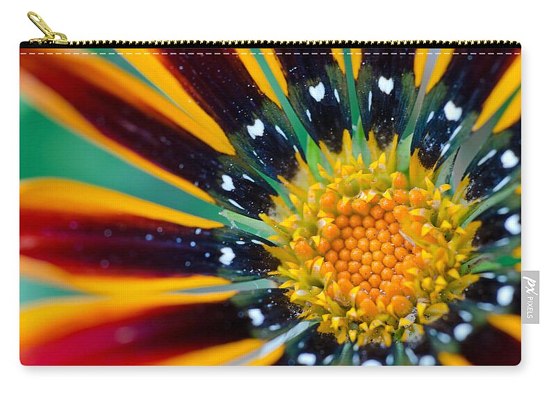 Bright Zip Pouch featuring the photograph Bloom Where You Are Planted by Margaret Pitcher