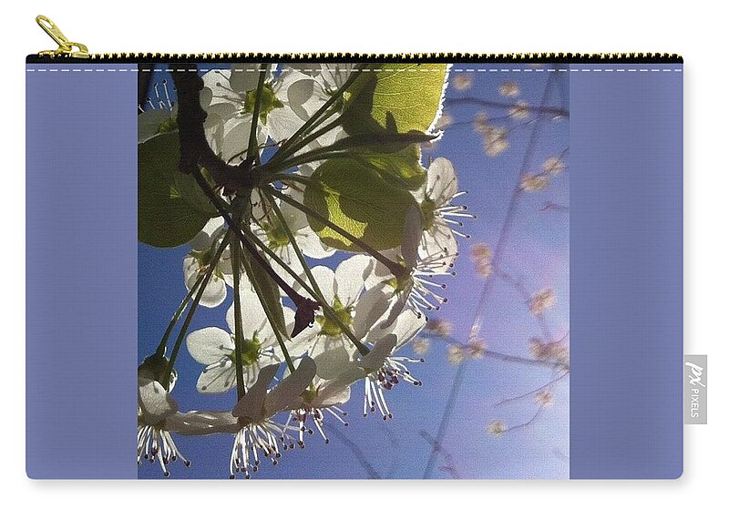 Tree Zip Pouch featuring the photograph Blossoms In Bloom by Katie Cupcakes