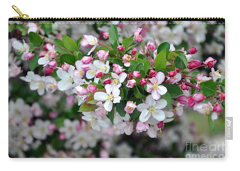 Blossoms Zip Pouch featuring the photograph Blossoms on Blossoms by Dorrene BrownButterfield