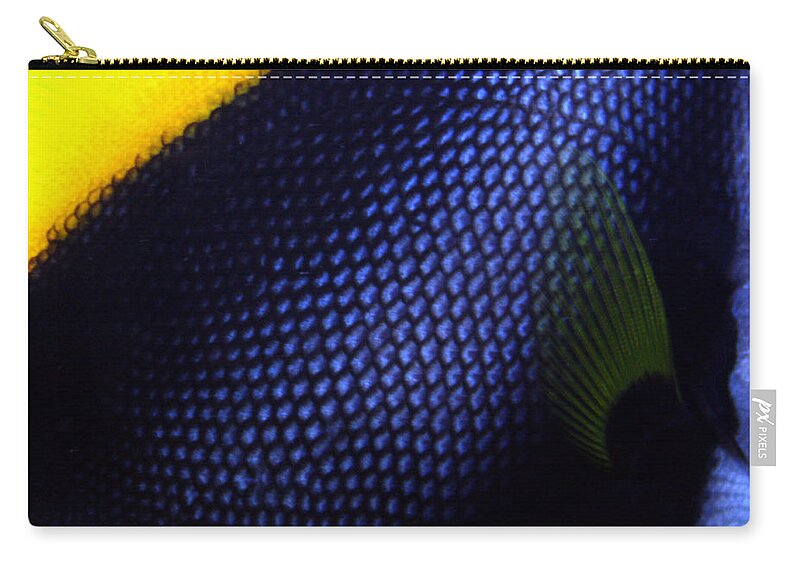 Waikiki Aquarium Zip Pouch featuring the photograph Blue and Yellow Scales by Jennifer Bright Burr