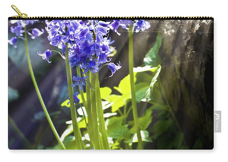 Wild Flowers Zip Pouch featuring the photograph Bluebells in the woods by Simon Bratt