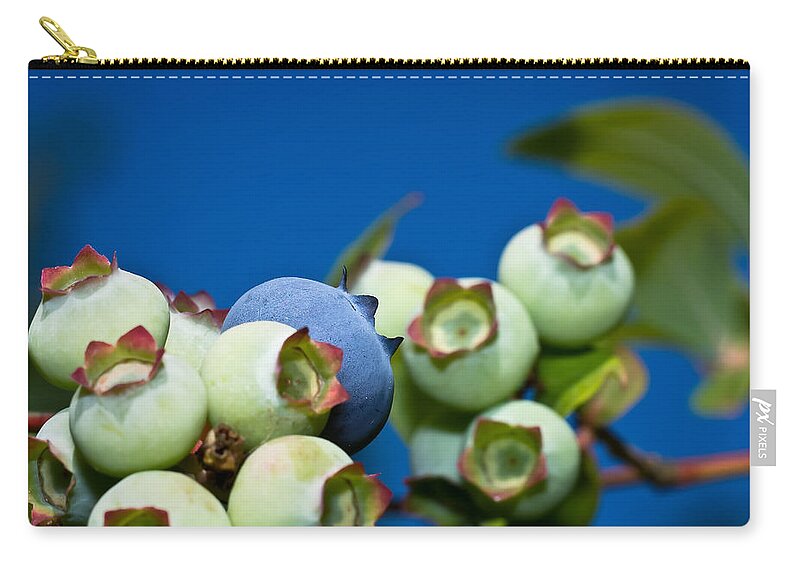 Macro Zip Pouch featuring the photograph Blueberries and Sky by Lori Coleman