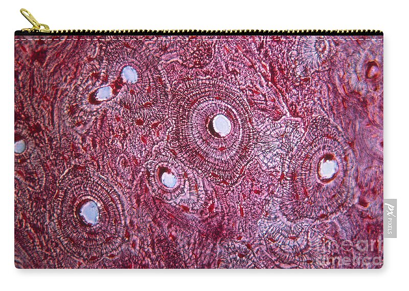 Bone Tissue Zip Pouch featuring the photograph Bone Tissue by Eric V. Grave