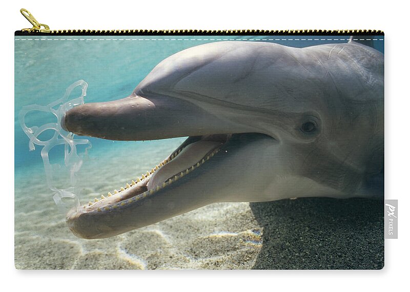00086165 Zip Pouch featuring the photograph Bottlenose Dolphin Playing With Plastic by Flip Nicklin