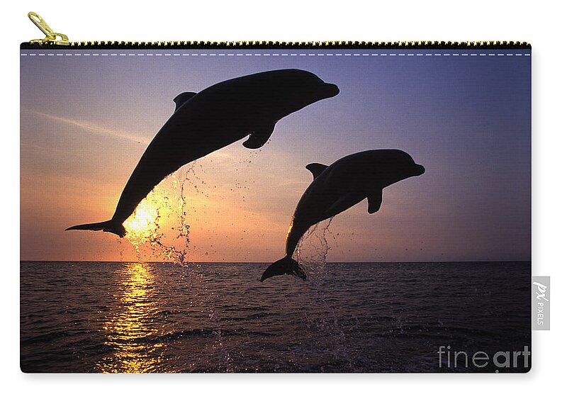 Cetacean Carry-all Pouch featuring the photograph Bottlenose Dolphins by Francois Gohier and Photo Researchers