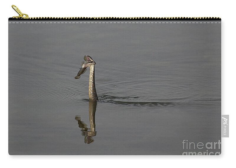 Snake Zip Pouch featuring the photograph Breakfast by Eunice Gibb