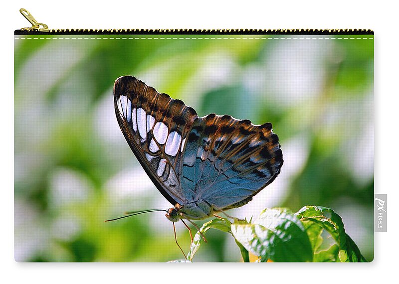 Butterfly Zip Pouch featuring the photograph Bright Blue Butterfly by Peggy Franz