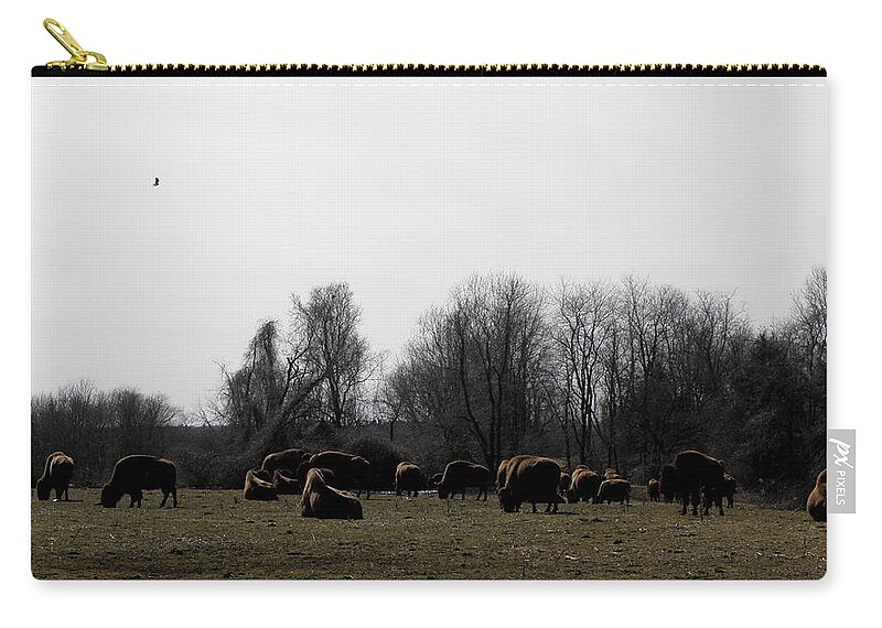 Buffalo Zip Pouch featuring the photograph Buffalo Farm in CT USA by Kim Galluzzo Wozniak