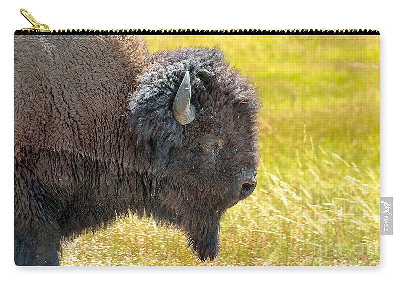 Animals Zip Pouch featuring the photograph Buffalo Portrait by Robert Bales