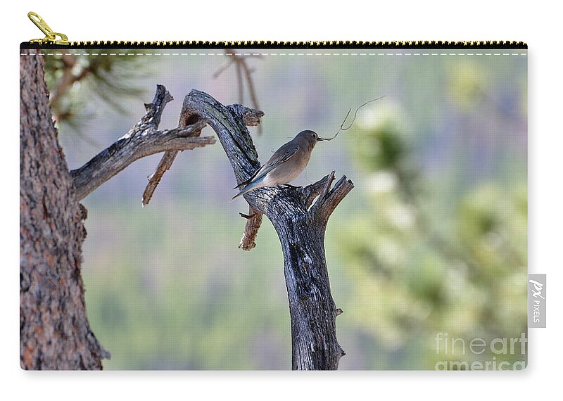Birds Zip Pouch featuring the photograph Building Her Nest by Dorrene BrownButterfield