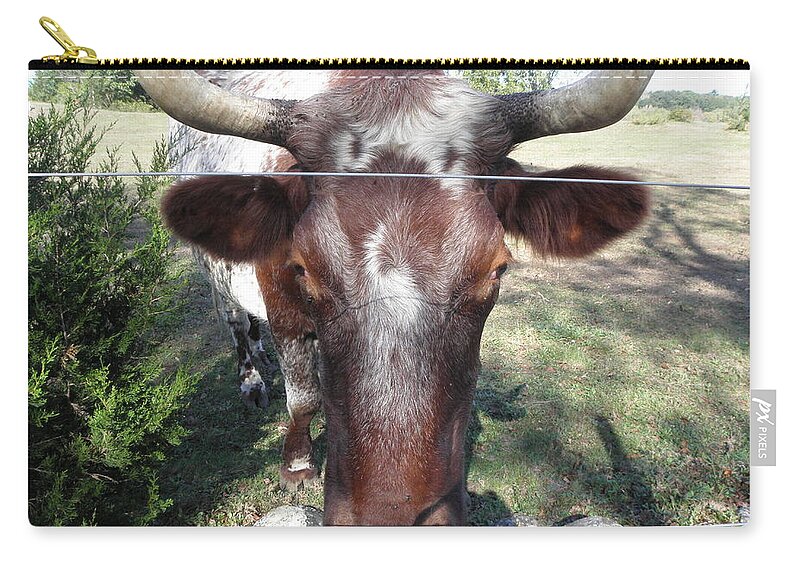 Bull Zip Pouch featuring the photograph Bull Face by Kim Galluzzo